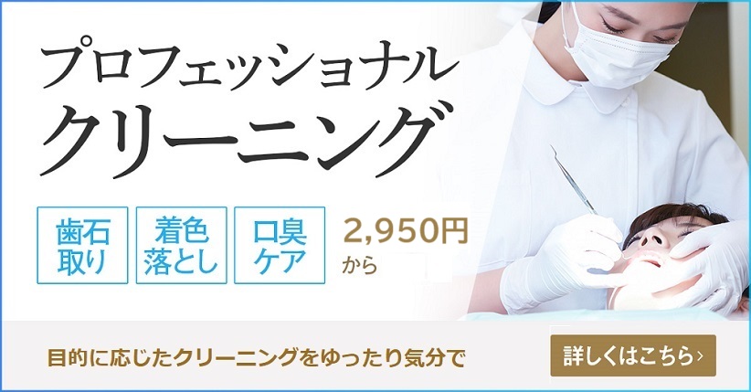 プロフェッショナルクリーニング