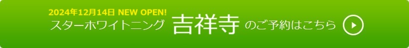 �g�ˎ��̂��\��͂�����